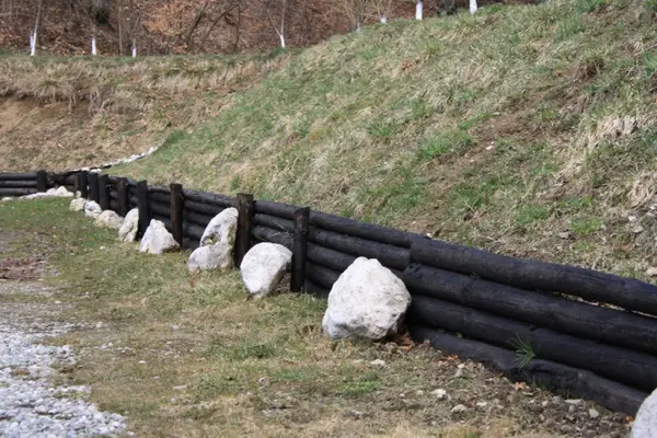 Cele mai bune tipuri de lemn pentru gardul casei tale