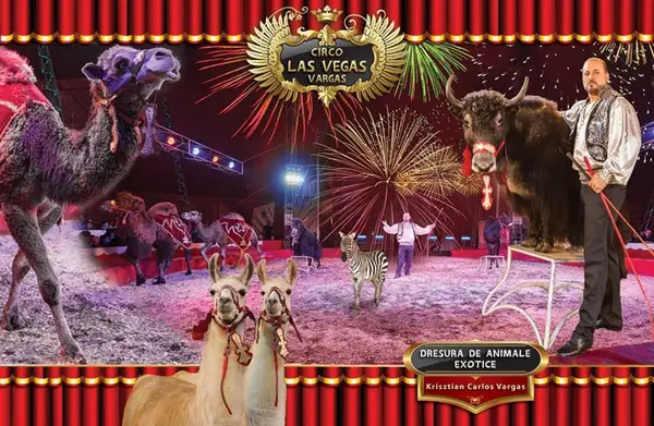 Circul Las Vegas Vargas la Timisoara