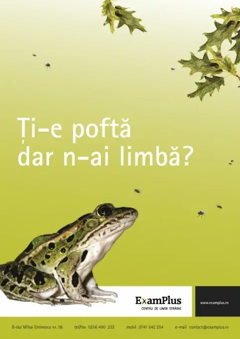 Curs de limba engleza incepatori - ExamPlus