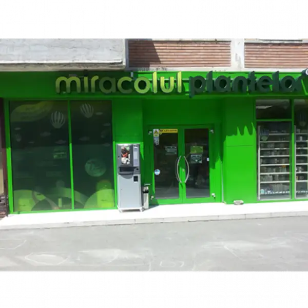 Miracolul Plantelor - Bulevardul Dambovita
