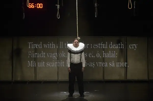 Colaborare între Teatrul Maghiar de Stat Csiky Gergely şi studenţii de la Universitatea de Vest