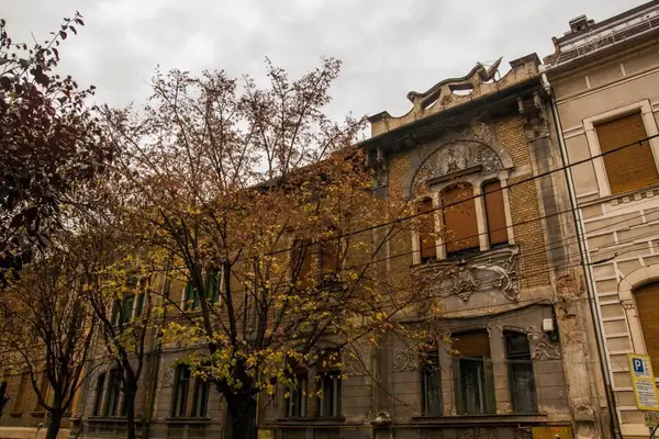 O casă pe zi - campanie de promovare a patrimoniului orașului Timișoara