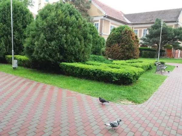 Parcul Postei