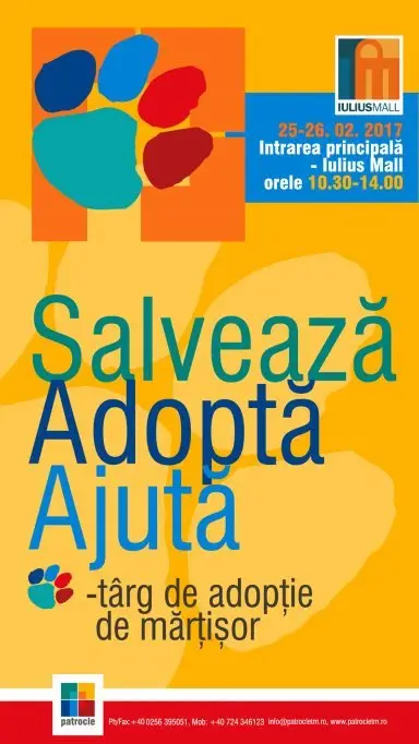 Concert Alex Velea & Antonia de Dragobete