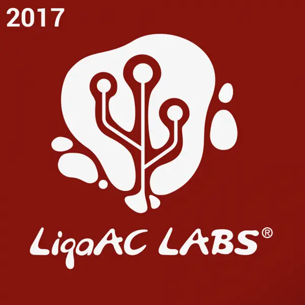 Liga AC LABS - Bit cu bit clădim viitorul!