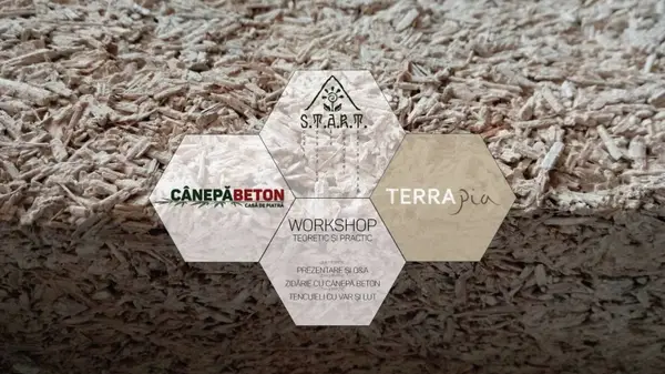 Workshop de Zidarie cu Canepa