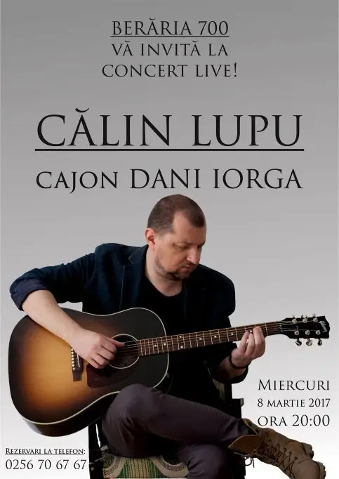 Concert Călin Lupu