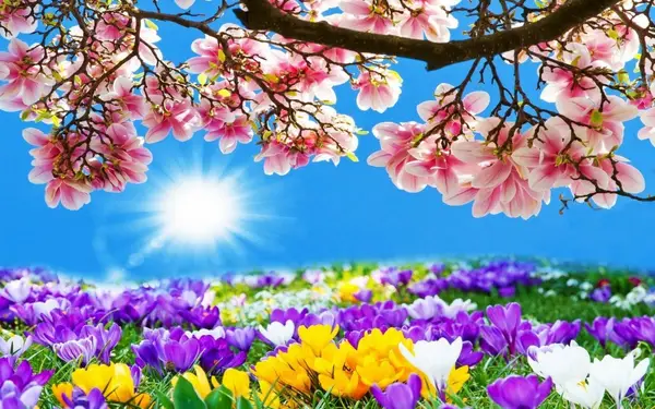 Spring Detox - Workshop: "Curatenia de Primavara"
