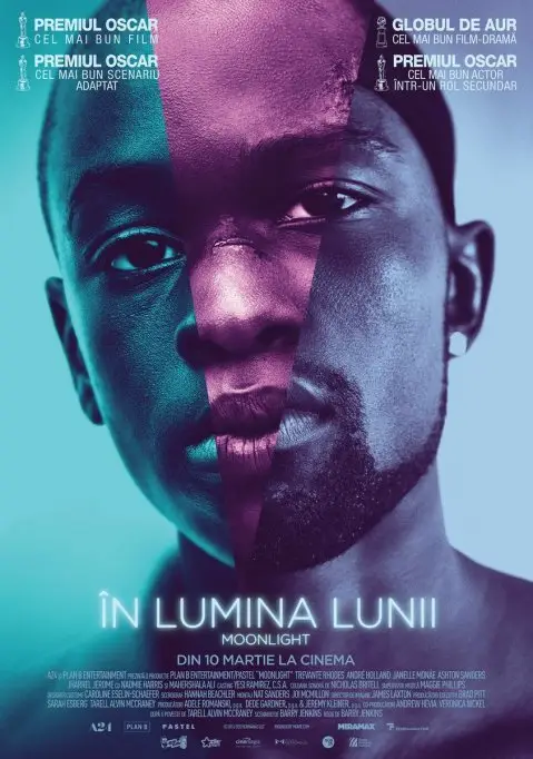 Filme de Cannes și Oscar, proiecții speciale la Filarmonica Banatul