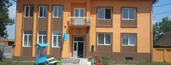 Primaria Topolovatu Mare