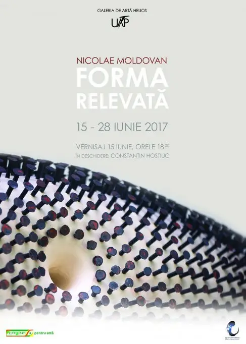 Forma Relevata Expoziție personala - Nicolae Moldovan