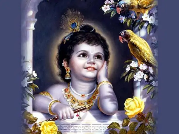 Krishna Fest