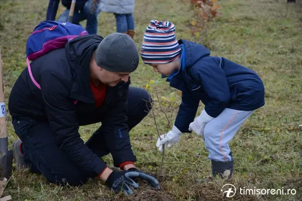 S-au plantat fapte bune în perdeaua de protecție forestieră de la Sînmihaiu Român
