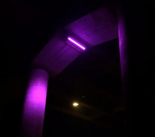 Passage / Pasaj, inaugurare de artă inedită sub podul din Calea Șagului din Timișoara