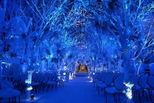 Winter Nights -lansare de colectie