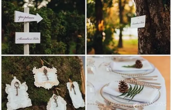 Fotografia, în slujba ceremoniilor festive - cum să alegi un fotograf pentru nuntă