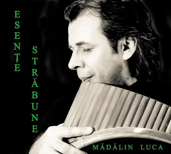 Concert Madalin Luca