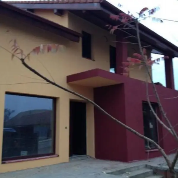 Proprietar vand casa in Ortisoara