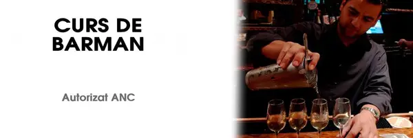 Curs Barman in Timisoara
