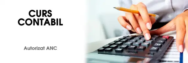 Curs Contabil in Timisoara
