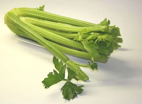 Sucul de telina - un remediu pentru simptome gastrointestinale