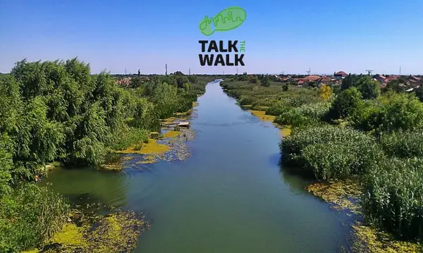 Talk the Walk #8 - Ne plimbăm cu Științescu