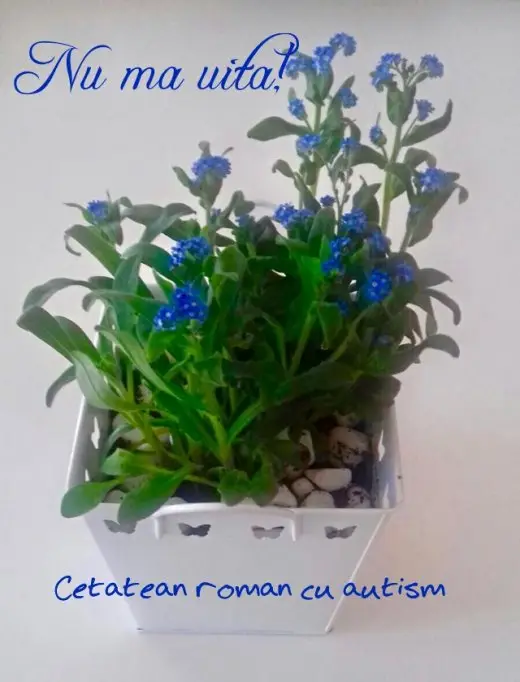 Nu uitati adultii cu autism