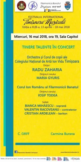 Tinere Talente