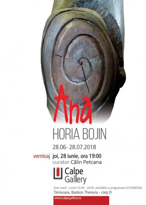 Expozitie de sculptura si desen Horia Bojin – Ana