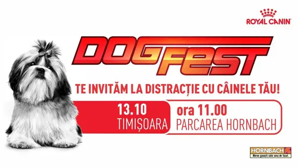 DogFest