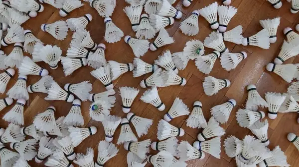 Campionatul National de Badminton la Timisoara