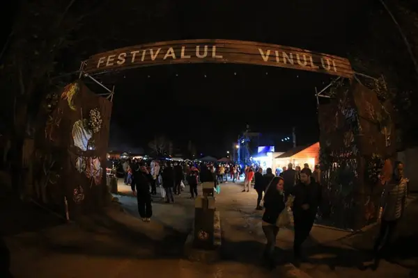 Festivalul Vinului de la Timisoara