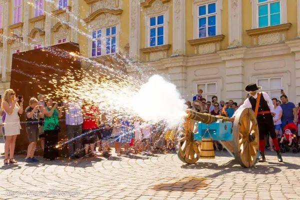 Schimbul de Garda in Timisoara