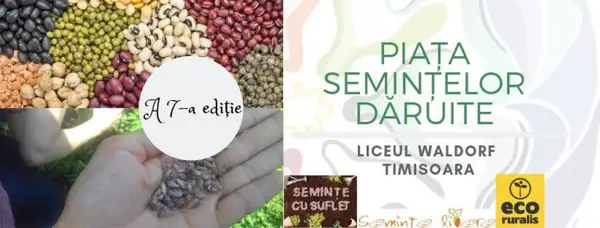 Piata Semintelor Daruite