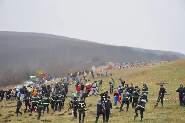 S-au plantat fapte bune pe dealul de la Cralovăț