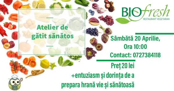 Atelier de Gatit Sanatos