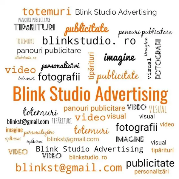 Blink Studio