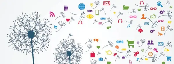 Web Media Marketing