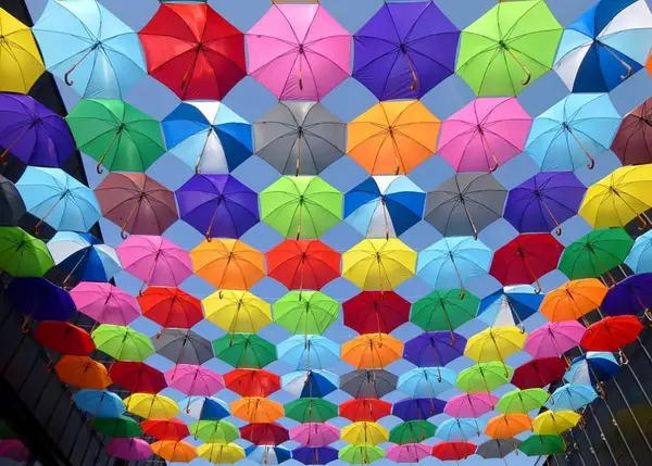 7 locuri de pus pe Instagram din județul Timiș