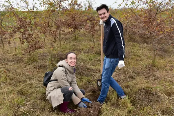 Plantam fapte bune in Romania - 16 Noiembrie 2019