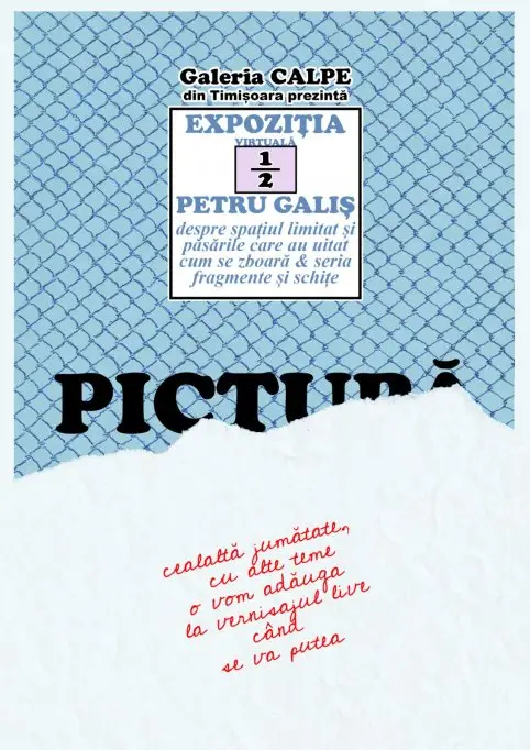 Expozitie virtuala de pictura - Petru Galis