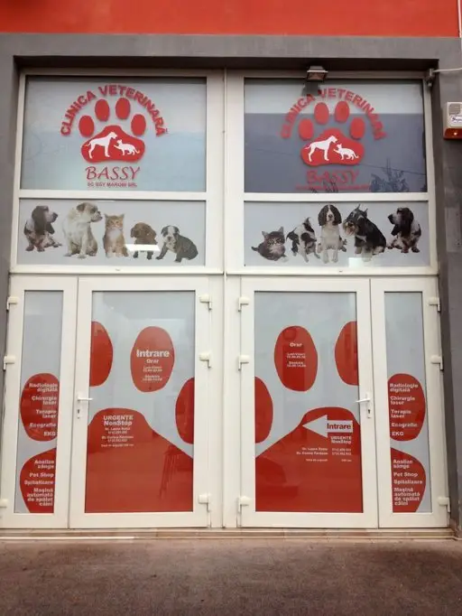 Clinica veterinara Bassy
