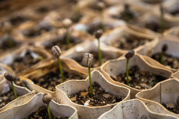 5 investiții în agricultură pe care ar trebui să le faci