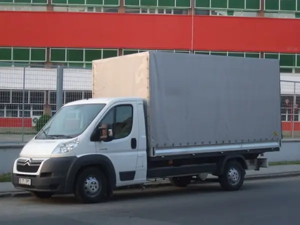 Transjovis