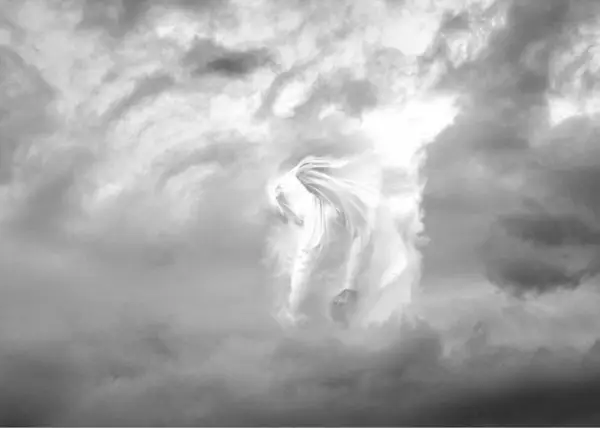 White Angel Of Heavens