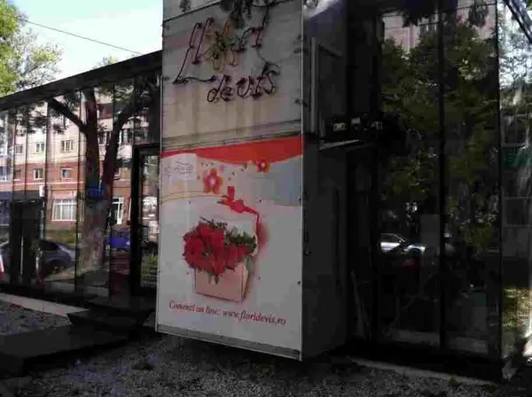 Floraria Flori de Vis