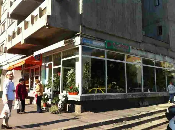 Floraria Horticultura - Strada Gheorghe Lazar