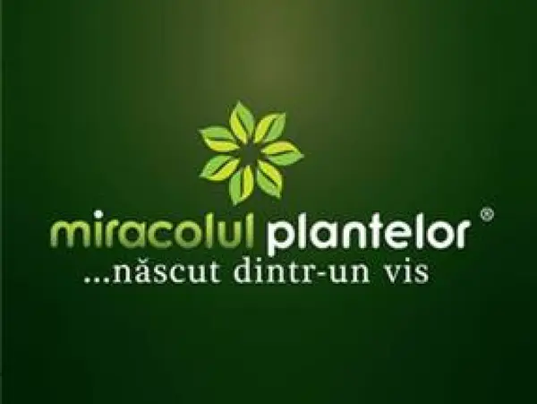Miracolul Plantelor - Strada Vasile Alecsandri