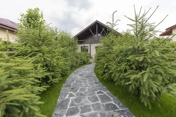5 avantaje pe care ţi le aduce pavarea curţii