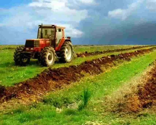 Camera Agricola a Judetului Timis